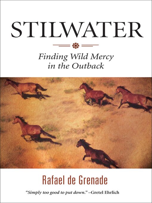 Title details for Stilwater by Rafael de Grenade - Available